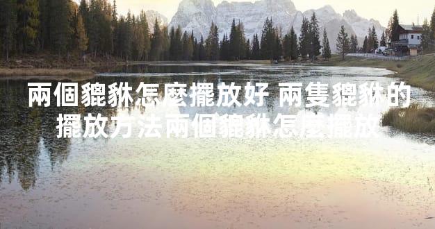 兩個貔貅怎麼擺放好 兩隻貔貅的擺放方法兩個貔貅怎麼擺放